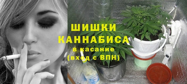СК Аркадак