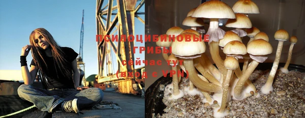 бутират Армянск