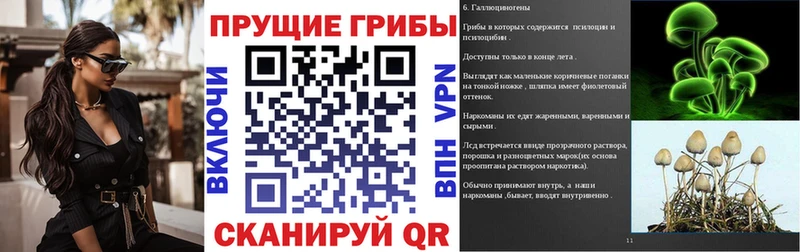 Галлюциногенные грибы прущие грибы  Аша 